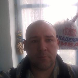 Андрей Доненко, 44 года, Камышин