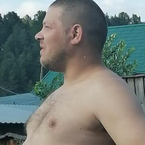 Николай, 39 лет, Тара