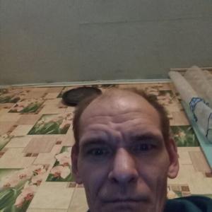 Сергей, 43 года, Койгородок