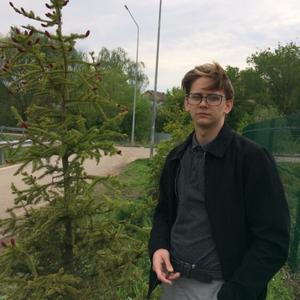 Игорь, 24 года, Новокуйбышевск