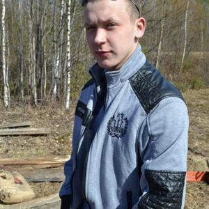 Алексей Климушин, 29 лет, Киров