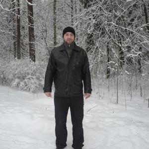 Степан Состровчук, 43 года, Тутаев