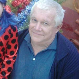 Владимир, 63 года, Октябрьский