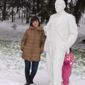 Инна, 45 лет, Дмитров