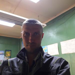 Сергей, 42 года, Плесецк