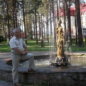 Николай, 64 года, Ульяновск