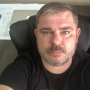 Дмитрий, 43 года, Тула