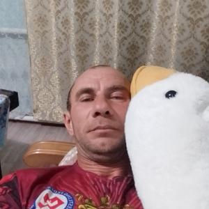 Юрий, 42 года, Михайловск