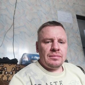 Алексей, 43 года, Шуя
