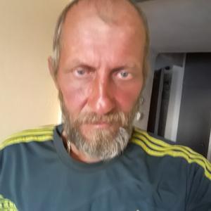 Серж, 54 года, Нижний Новгород