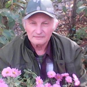 Владимир, 75 лет, Воронеж