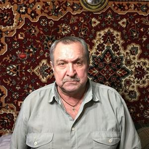 Владимир, 73 года, Москва