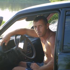 Александр Саенко, 47 лет, Волгоград