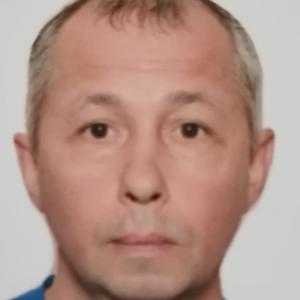 Николай, 46 лет, Кстово