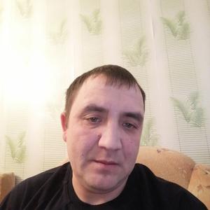 Дмитрий, 43 года, Каменск-Уральский