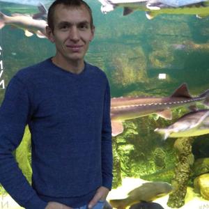 Парни в Саранске: Евгений, 41 - ищет девушку из Саранска