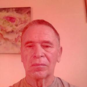 Александр, 75 лет, Хоринск