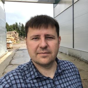 Евгений, 41 год, Белоусово