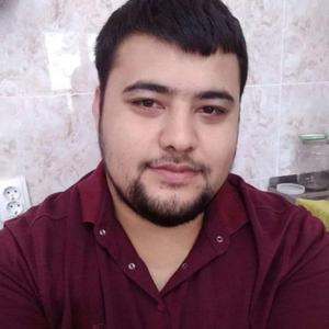 Shoxrux, 27 лет, Ташкент