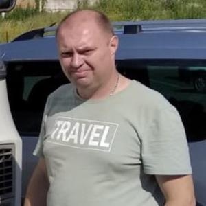 Антон, 43 года, Курск