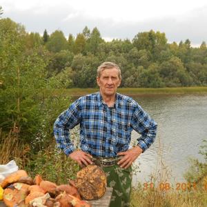 Владимир, 76 лет, Александровск