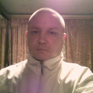 Сергей, 42 года, Павловский Посад