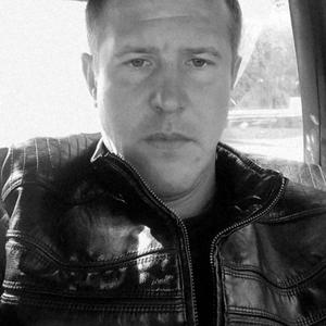 Алексей, 36 лет, Дмитров