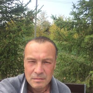 Андрей Андреев, 43 года, Пермь