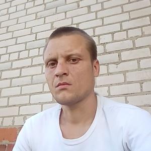 Роман, 37 лет, Вологда