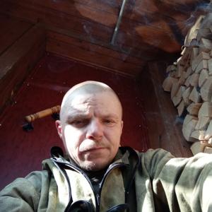Андрей, 45 лет, Ярославль