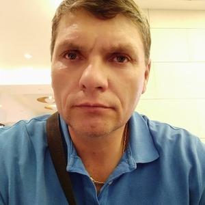 Алексей, 52 года, Волоколамск