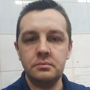 Дмитрий, 44 года, Грибановский