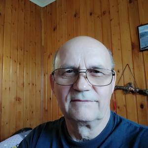Владимир, 72 года, Балабаново