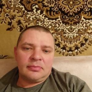 Дмитрий, 43 года, Воротынец