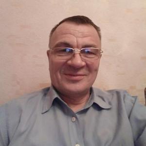 Анатолий Шевляков, 69 лет, Гай