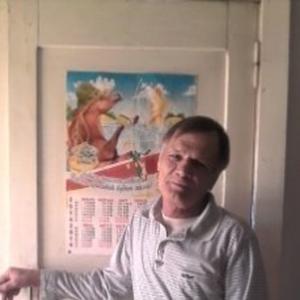 Сергей, 70 лет, Курган