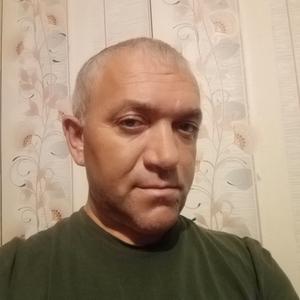 Дима, 44 года, Барнаул