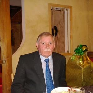 Валерий Дмитриев, 68 лет, Белгород