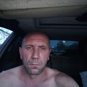 Александр, 41 год, Петров Вал