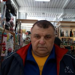 Александр, 69 лет, Ульяновск