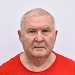 Vladimir, 78 лет, Балаково
