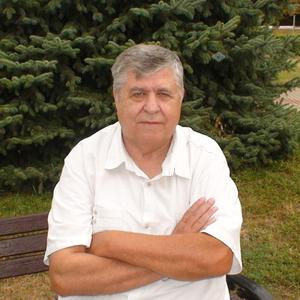 Голиков, 68 лет, Белгород