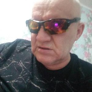 Игорь, 62 года, Котлас