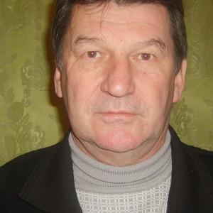 Vladimir, 71 год, Орел