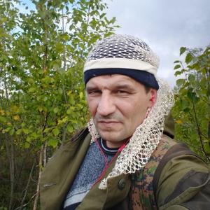 Алексей Васильев, 46 лет, Лангепас