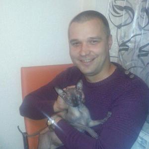 Юрий, 38 лет, Зарайск