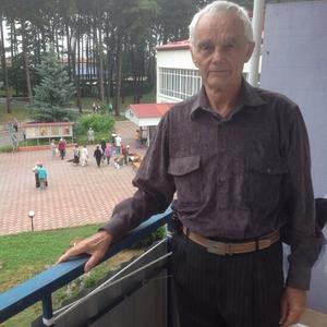 Николай, 78 лет, Видное