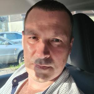 Андрей, 48 лет, Калуга