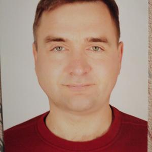 Геннадий Грачев, 50 лет, Тула