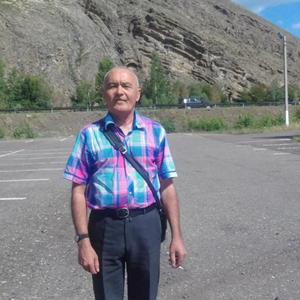 Ренат Гайсин, 63 года, Стерлитамак